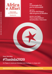 A cinque anni dalla rivoluzione, l’economia della Tunisia è ancora fragile. La crescita c’è ma non sembra sufficientemente forte per riuscire a intaccare fenomeni quali la disoccupazione, la povertà e l’ineguaglianza. Tuttavia molti segnali di speranza arrivano soprattutto dalla politica tunisina che appare realmente determinata ad affrontare in maniera congiunta le sfide che attendono il Paese.