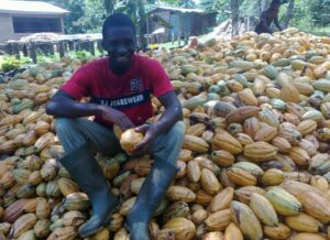 Cocoa_farming_in_Ghana