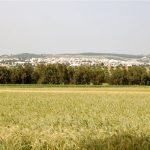 tunisie_agriculture