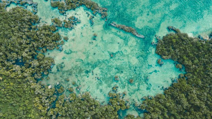 Zanzibar blue economy