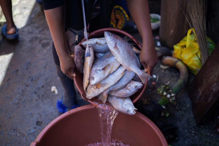 pesca africa occidentale