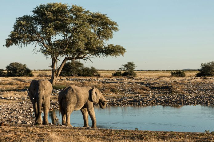Namibia turismo