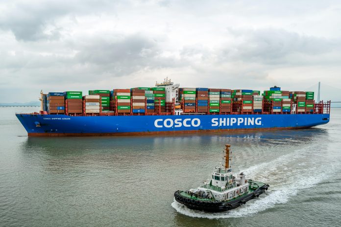 Cina nave export