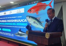 Somalia: Italia finanzia progetto per economia blu in Puntland