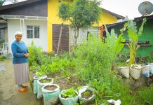 Etiopia: agricoltura urbana cresce e guarda al mercato