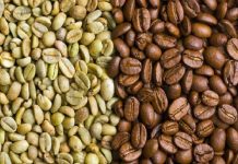 Prima esportazione di caffè verde keniano verso Trieste