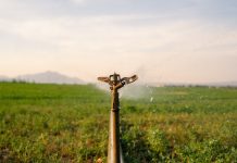 Un piano ambizioso del Kenya per le infrastrutture di irrigazione